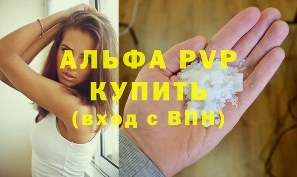 индика Балабаново