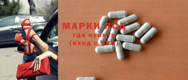 индика Балабаново