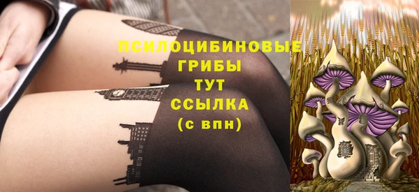 твердый Балахна