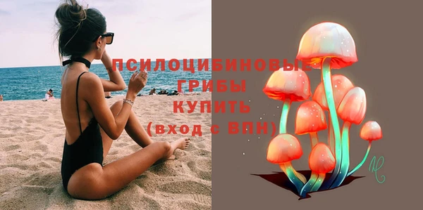 твердый Балахна